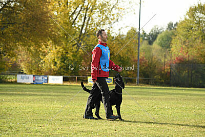 Xara con todos los santos