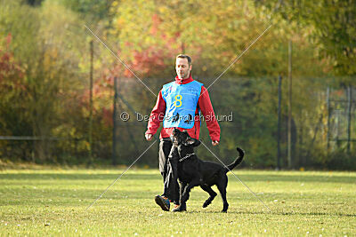 Xara con todos los santos