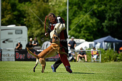 Xarey vom Further Moor