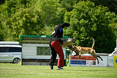 Xarey vom Further Moor