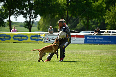 Xarey vom Further Moor