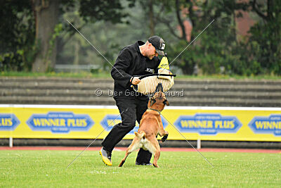 Xarey vom Further Moor