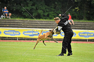 Xarey vom Further Moor