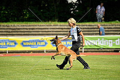 Xarey vom Further Moor