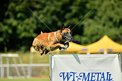 Xarey vom Further Moor