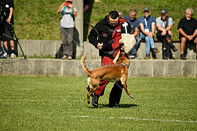 Xarey vom Further Moor