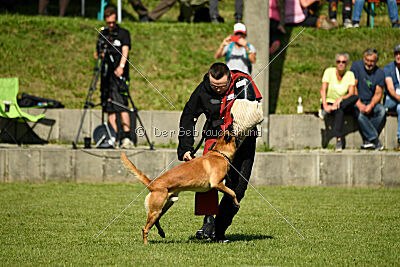 Xarey vom Further Moor