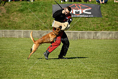 Xarey vom Further Moor