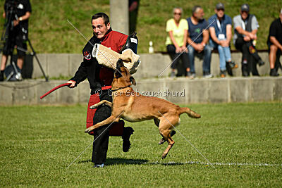 Xarey vom Further Moor