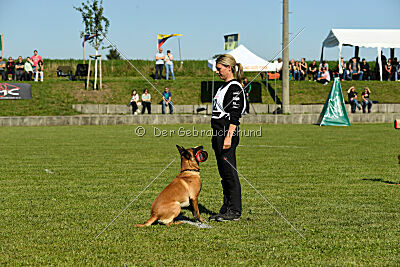 Xarey vom Further Moor