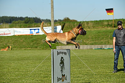 Xarey vom Further Moor