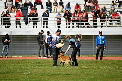 Xarey vom Further Moor