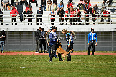 Xarey vom Further Moor