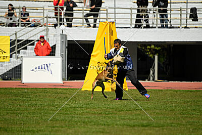 Xarey vom Further Moor