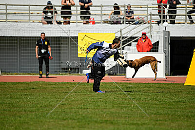 Xarey vom Further Moor