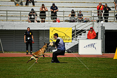 Xarey vom Further Moor