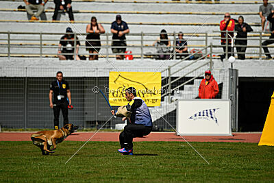 Xarey vom Further Moor