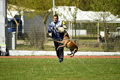 Xarey vom Further Moor