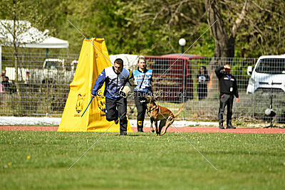 Xarey vom Further Moor