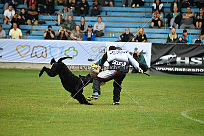 Xaro von der Schönburg