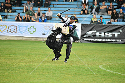 Xaro von der Schönburg