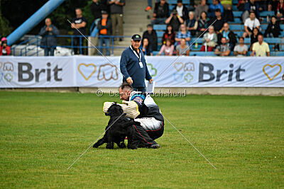 Xaro von der Schönburg