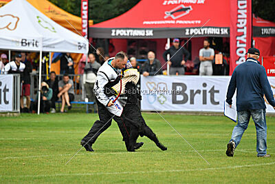 Xaro von der Schönburg