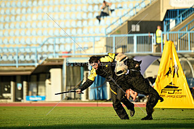 Xaro von der Schönburg