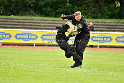 Xaro von der Schönburg