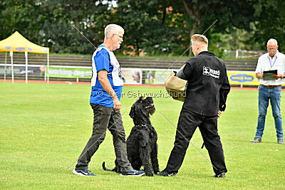 Xaro von der Schönburg