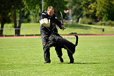 Xaro von der Schönburg