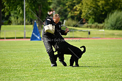 Xaro von der Schönburg