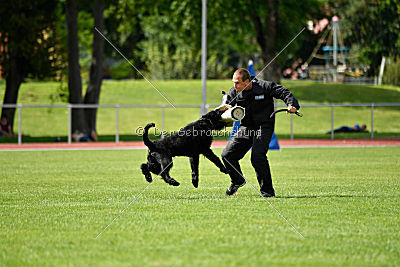 Xaro von der Schönburg