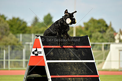 Xaro von der Schönburg