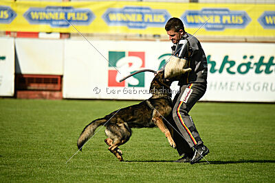 Xavi de Jardines del Real