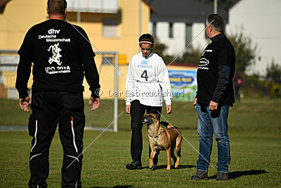Xena vom Hause Diethelm