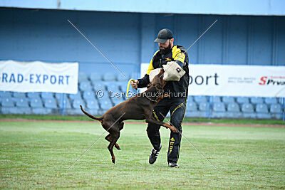 Xhunter von Warringhof
