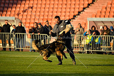 Xilver vom Grenzgänger