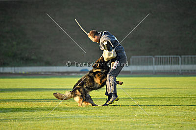 Xilver vom Grenzgänger