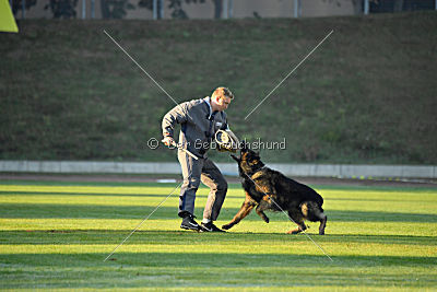 Xilver vom Grenzgänger