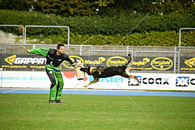 Xina von der Rohrbrücke