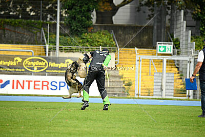 Xina von der Rohrbrücke