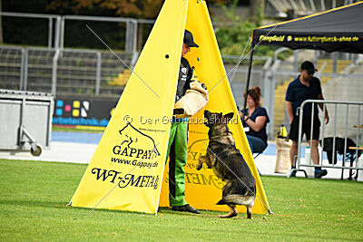 Xina von der Rohrbrücke