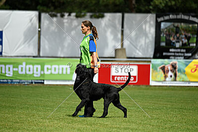Xioux vom Lindelbrunn