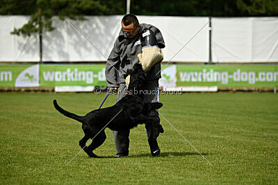 Xioux vom Lindelbrunn