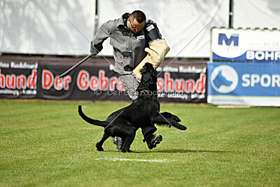 Xioux vom Lindelbrunn