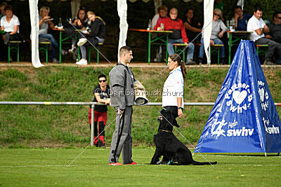 Xioux vom Lindelbrunn