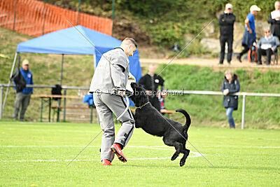 Xioux vom Lindelbrunn