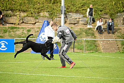 Xioux vom Lindelbrunn