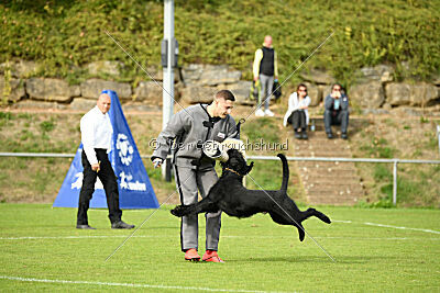 Xioux vom Lindelbrunn